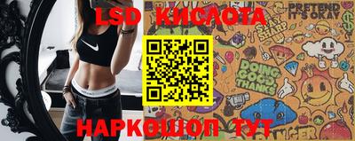 гидра Кандалакша