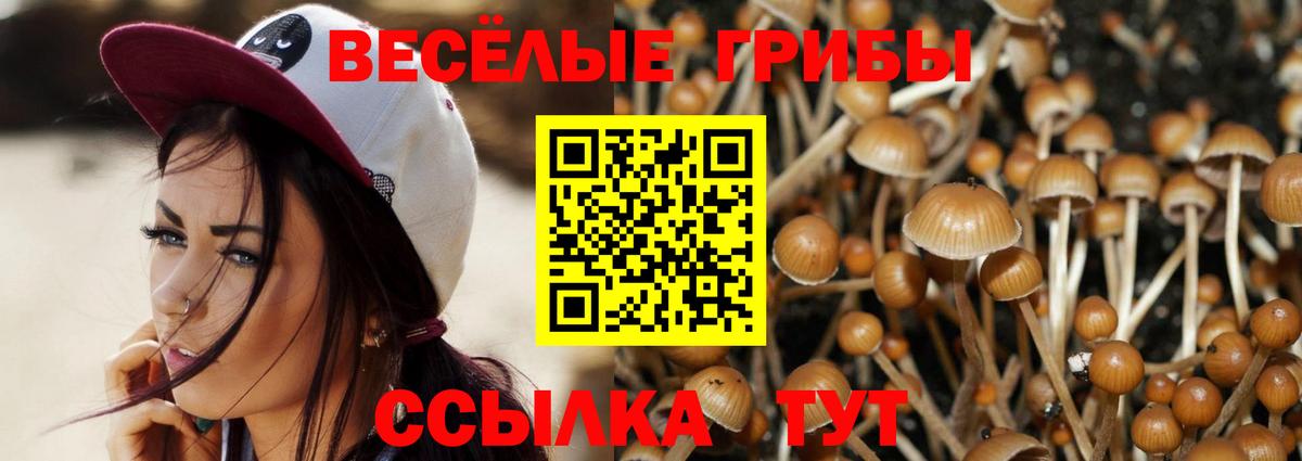 Галлюциногенные грибы мухоморы Невинномысск